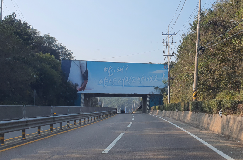 양양에서 서핑도 안 해보면 말이 안 되지!