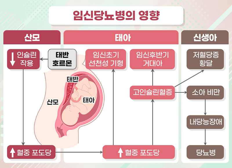 임신당뇨병의 영향