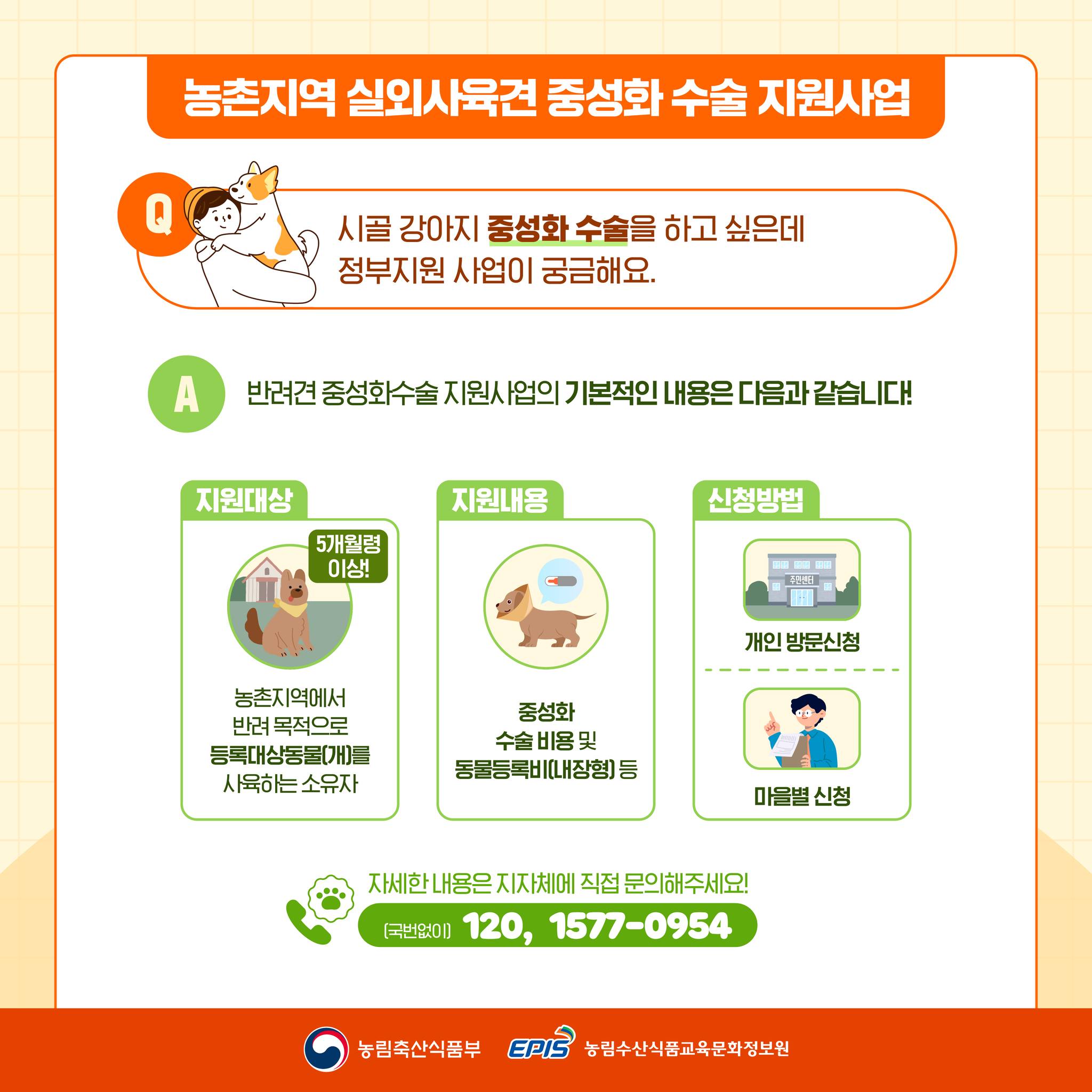 궁금한개 뭐냥? 알려줄개!
