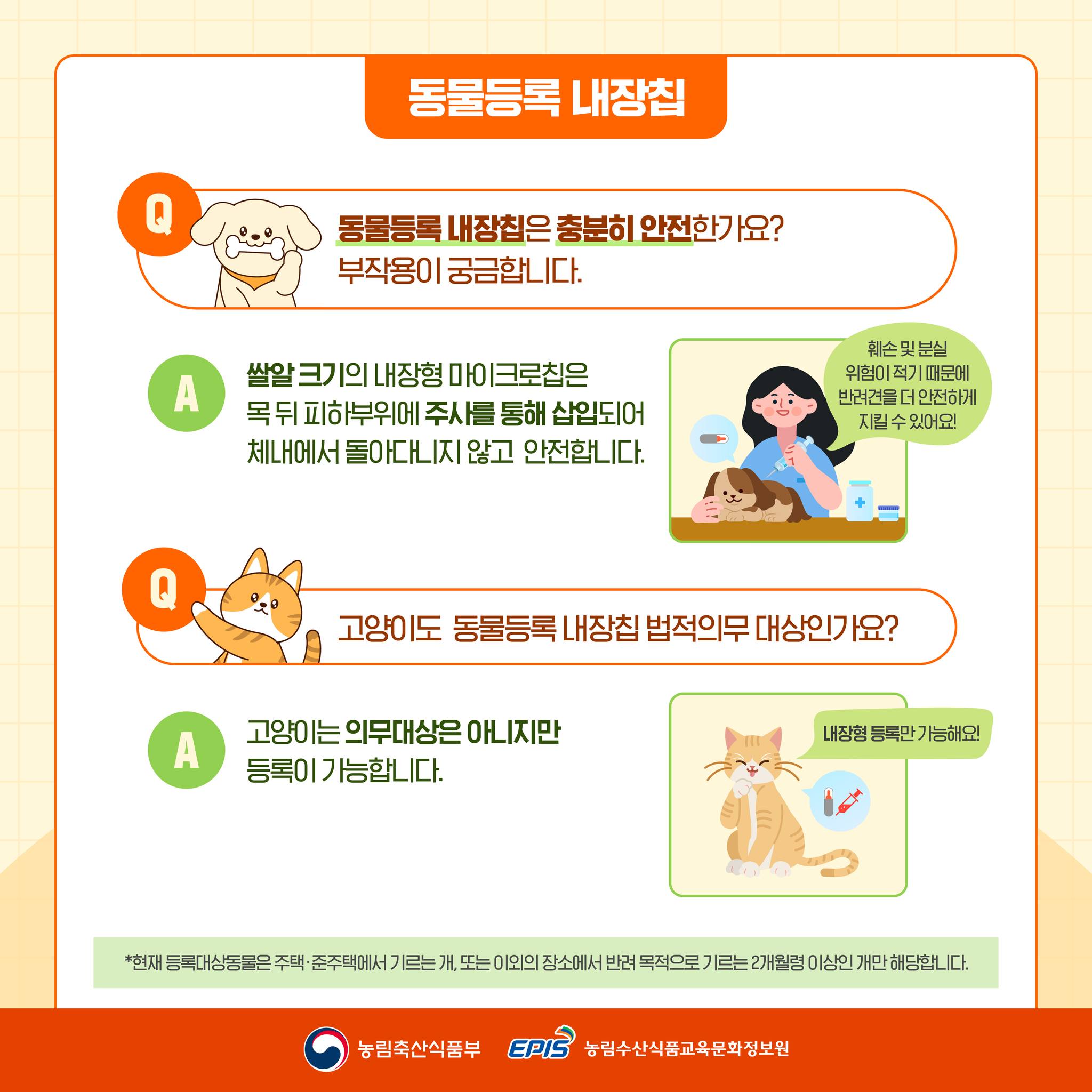 궁금한개 뭐냥? 알려줄개!