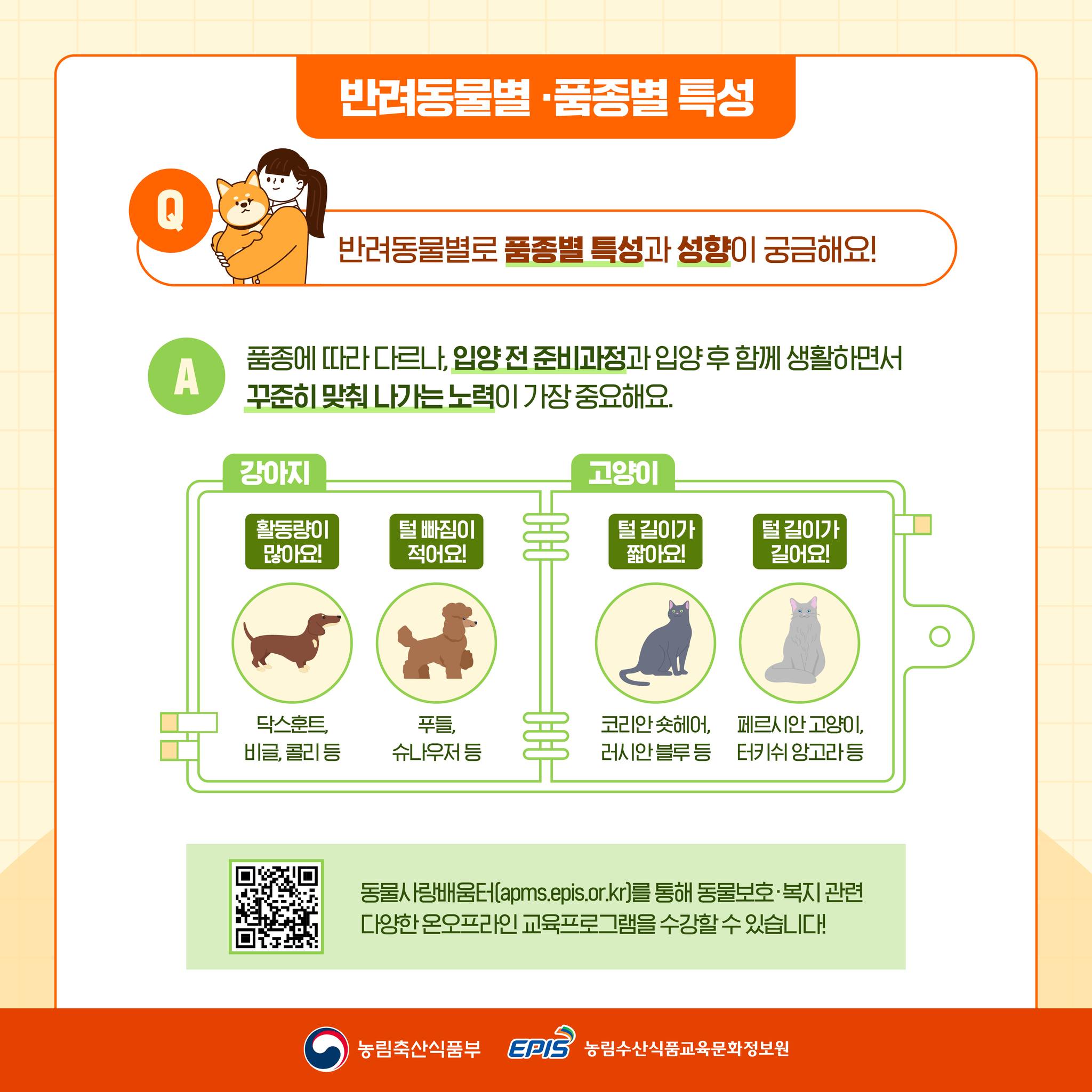 궁금한개 뭐냥? 알려줄개!