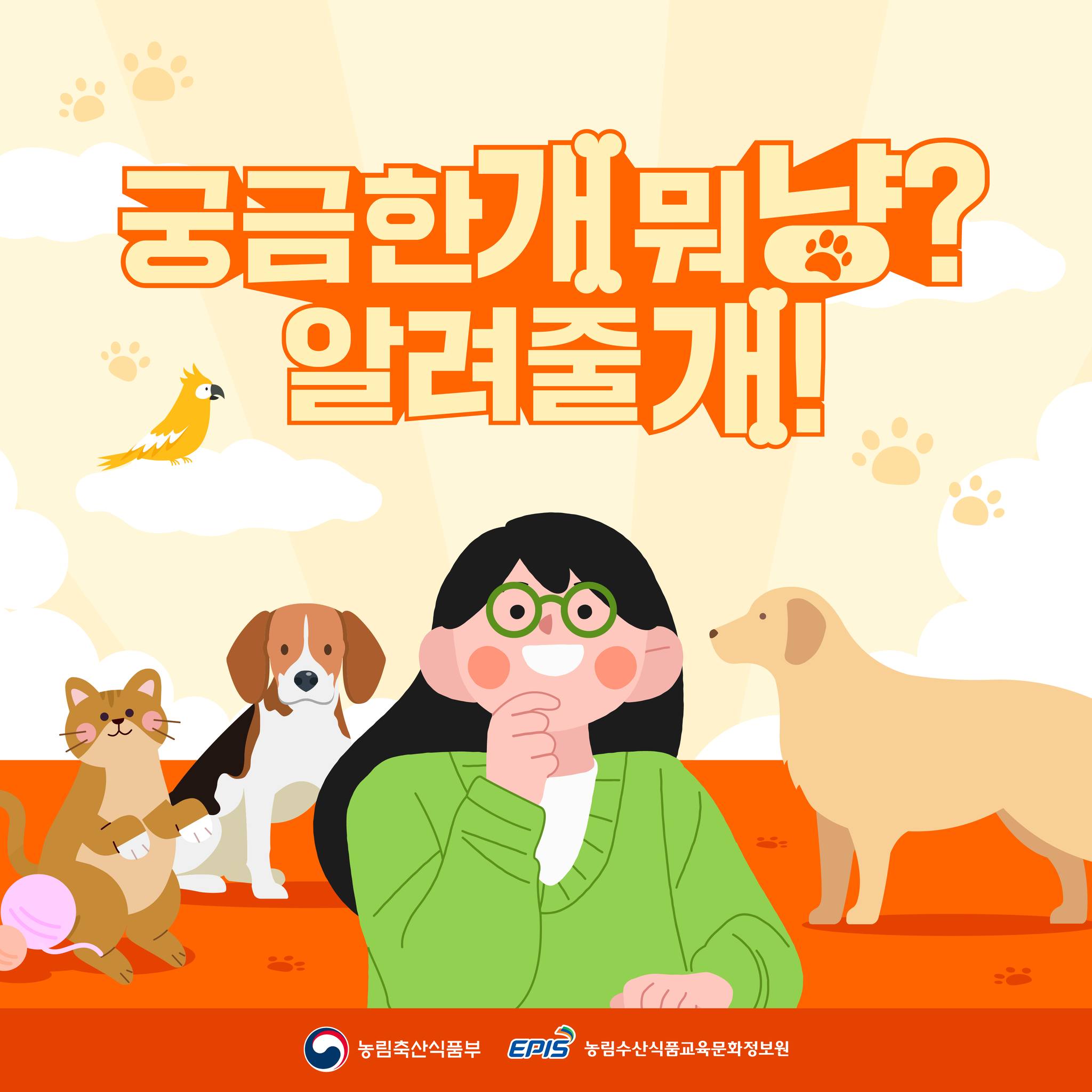 궁금한개 뭐냥? 알려줄개!