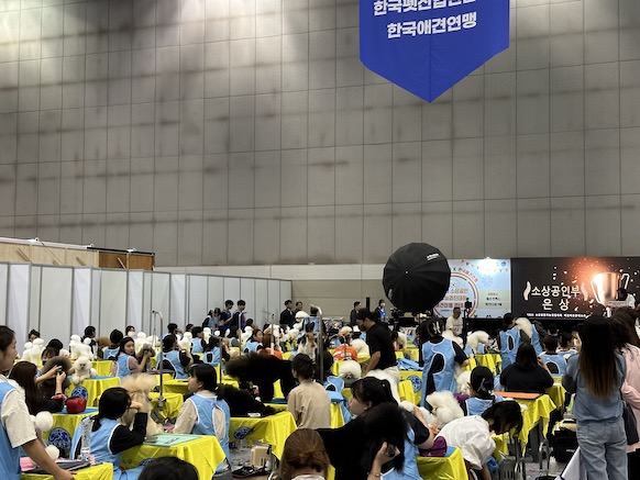 애견미용 콘테스트에서 실력을 뽐내는 소상공인들