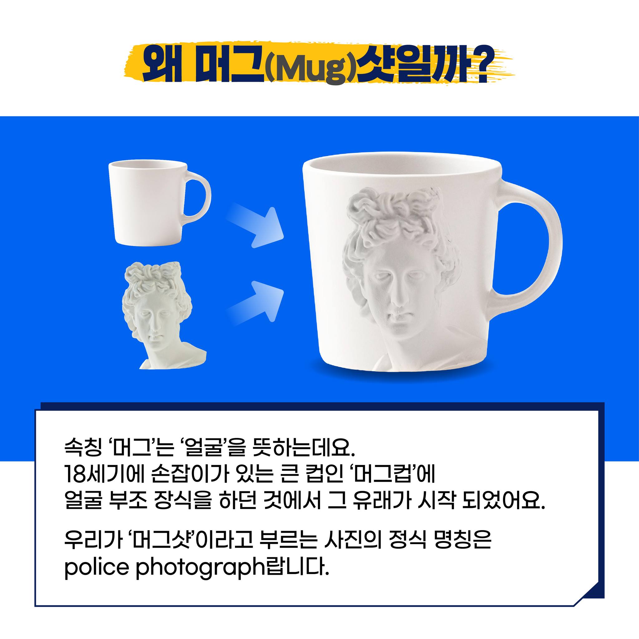 ‘머그샷’이 뭐고?