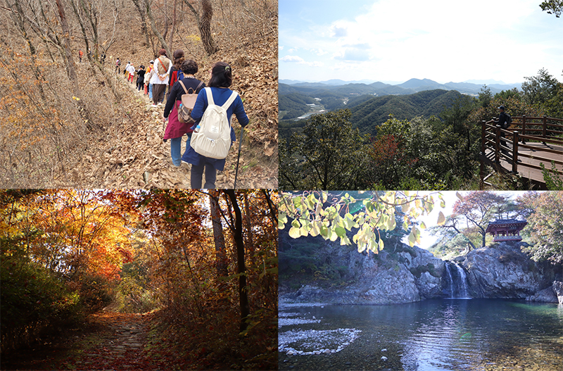 (왼쪽 위부터 시계방향) 속리산걷기축제 현장, 상주 선재 정상, 상주 장각폭포, 보은 말티고개. (사진=산림청)