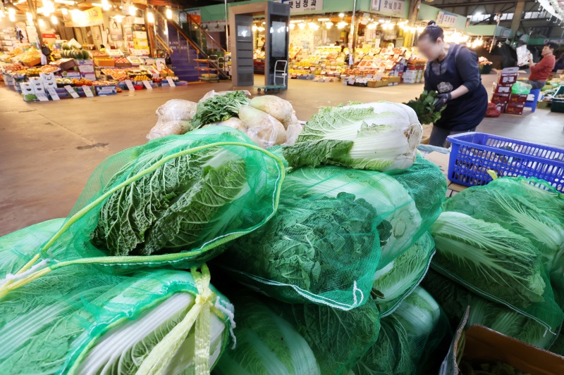 5일 서울 마포구 마포농수산물시장에서 배추가 판매되고 있다.(사진=저작권자(c) 뉴스1, 무단 전재-재배포 금지)