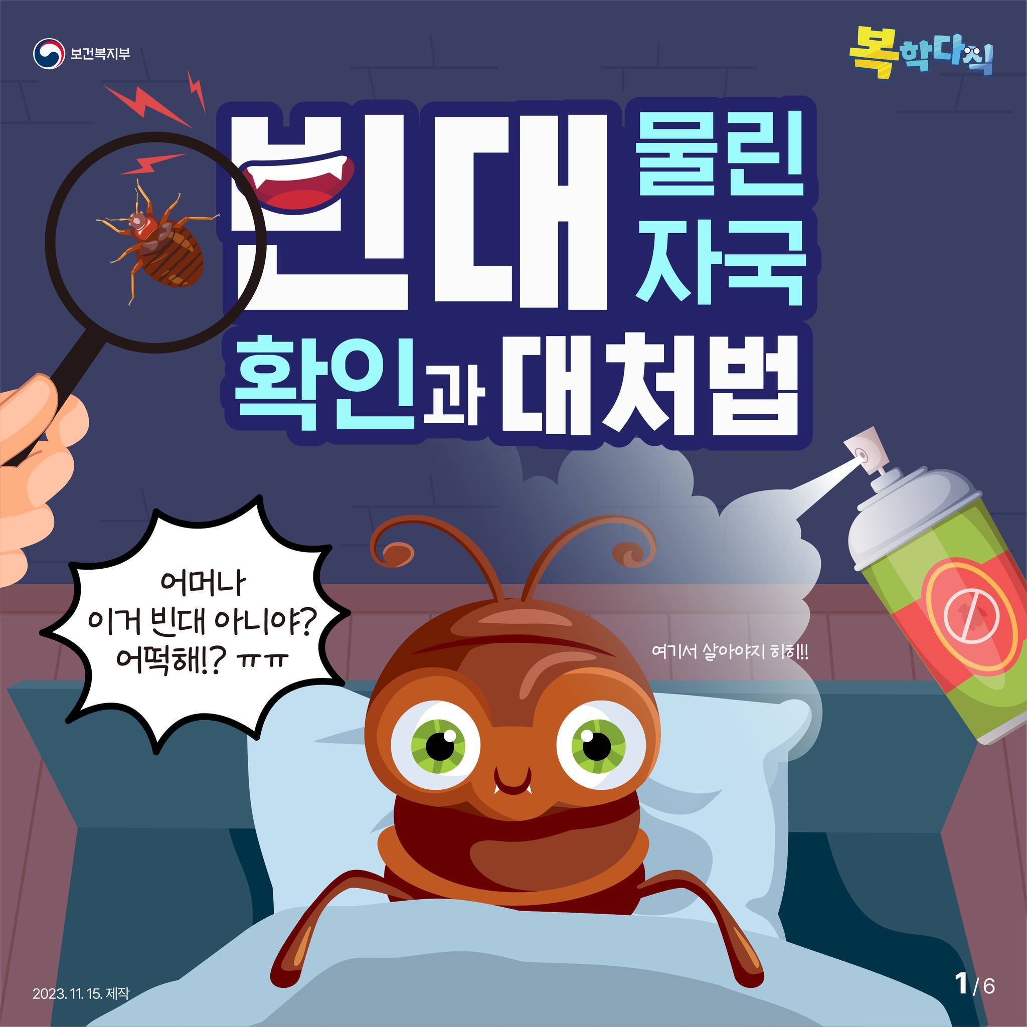 빈대 물린 자국 확인과 대처법
