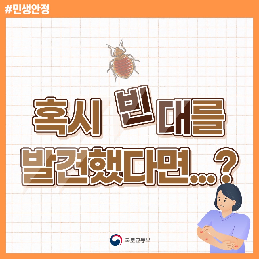 빈대에 대해 알아보고, 미리 예방해보세요!