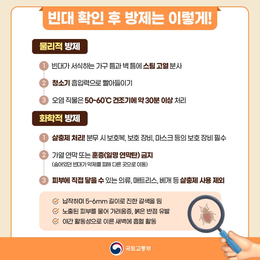 빈대에 대해 알아보고, 미리 예방해보세요!