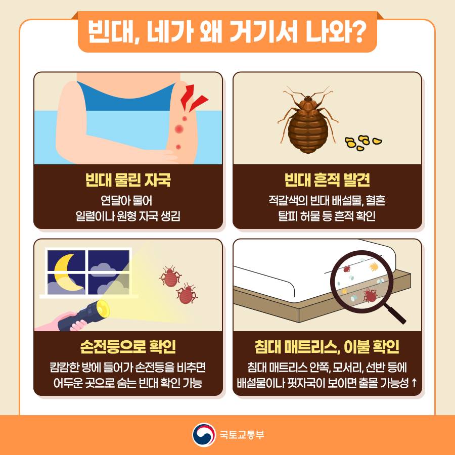 빈대에 대해 알아보고, 미리 예방해보세요!