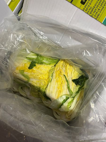 매년 이맘때 쯤이면 김장준비를 시작한다. 온 친척이 한자리에 모여 김장을 한다.