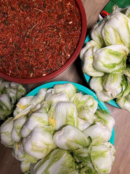 지난 주말 온 친척이 한 곳에 모여 김장을 했다. 오른 물가가 체감되기도 했지만, 수급대책으로 조금은 부담을 덜었다.
