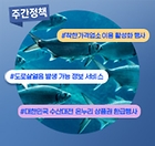 “도로 살얼음 주의하세요”…300ｍ 전방서 안내 (11월 4주)