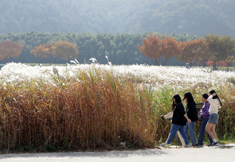 울산 태화강국가정원에서 시민들이 선선한 가을날씨를 만끽하며 시간을 보내고 있다.(ⓒ뉴스1, 무단 전재-재배포 금지)