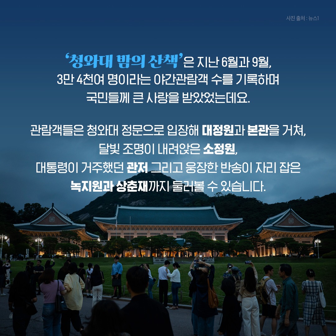 청와대에서 즐기는 특별한 겨울밤 산책