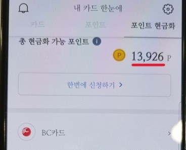 카드사 별로 모은 카드 포인트를 확인할 수 있다!