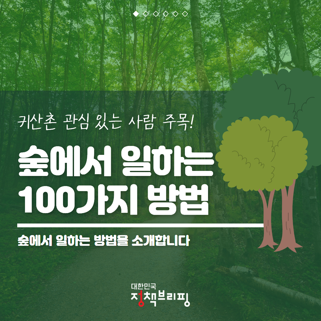 숲에서 일하는 100가지 방법