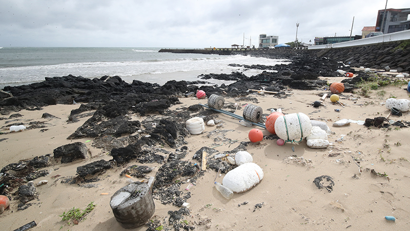 태풍으로 해안가에 각종 해양쓰레기가 밀려와 있다. (ⓒ뉴스1, 무단 전재-재배포 금지)