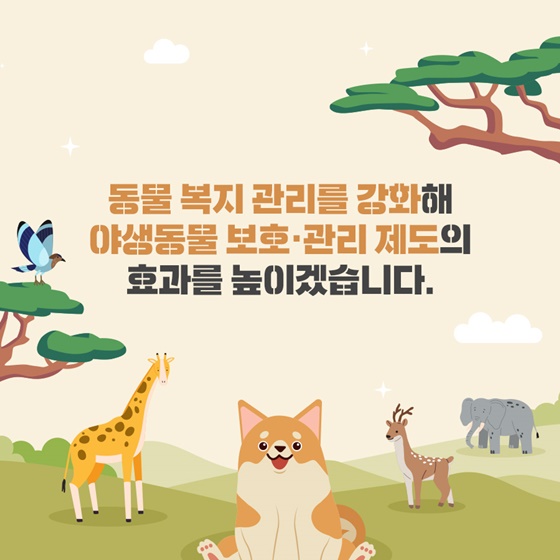 야생동물 보호·관리가 강화됩니다