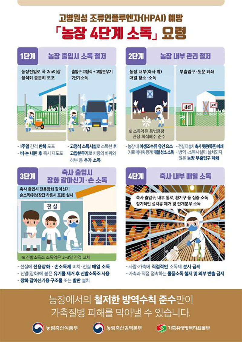 농장 4단계 소독 요령. (인포그래픽=농림축산식품부)