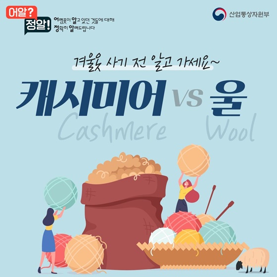 캐시미어vs울, 겨울옷 사기 전 알고 가세요~
