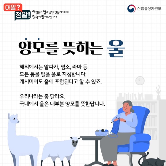 캐시미어vs울, 겨울옷 사기 전 알고 가세요~