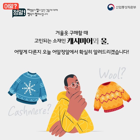 캐시미어vs울, 겨울옷 사기 전 알고 가세요~