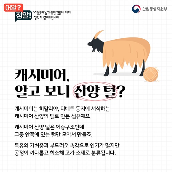 캐시미어vs울, 겨울옷 사기 전 알고 가세요~