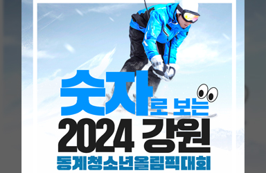 숫자로 보는 2024 강원 동계청소년올림픽대회