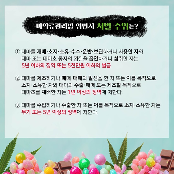 젤리, 초콜릿…대마의 달콤한 유혹에 속지 마세요