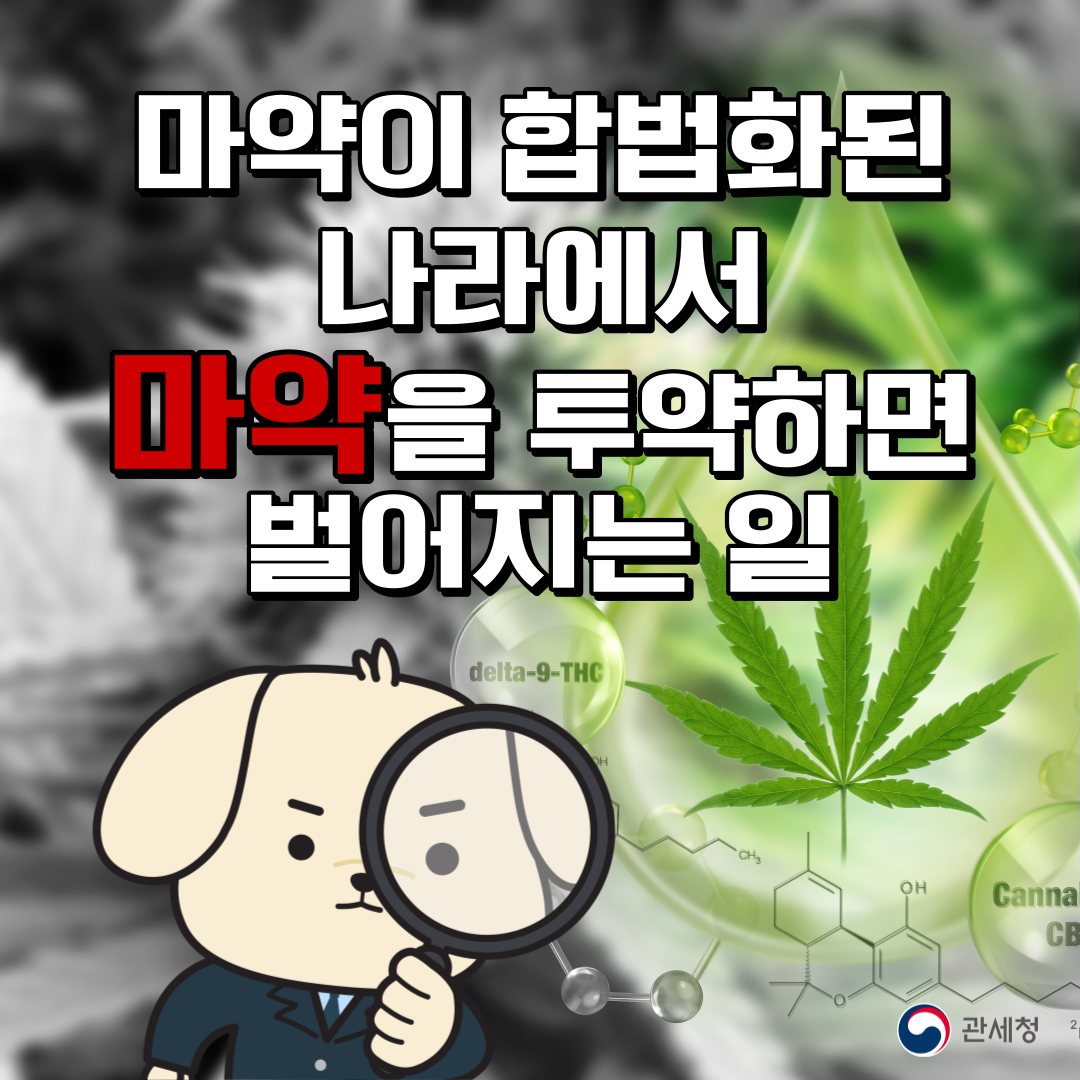 마약이 합법화된 나라에서 마약을 투약하면 벌어지는 일