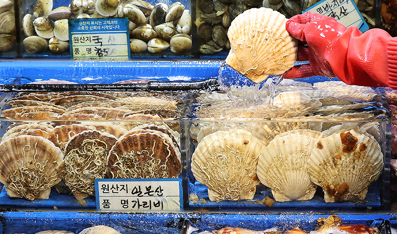 수산시장에서 한 상인이 일본산 가리비를 꺼내고 있다. (ⓒ뉴스1, 무단 전재-재배포 금지)