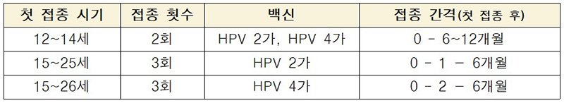 첫 접종 시기별 백신종류 및 접종횟수·간격 (자세한 내용은 본문에 설명 있음)