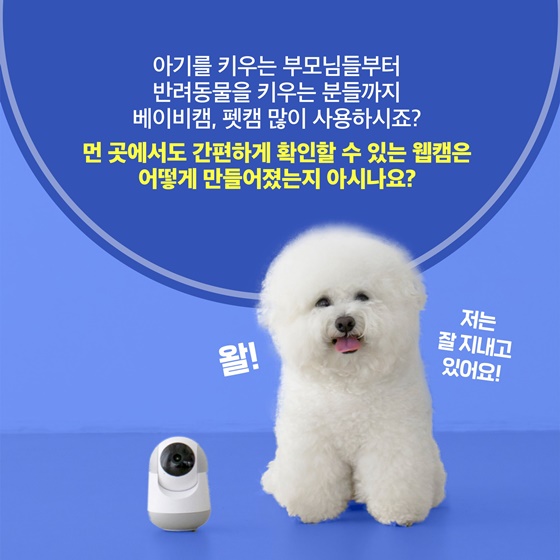 [오늘의 득템] 커피를 마시려다 탄생한 웹캠?