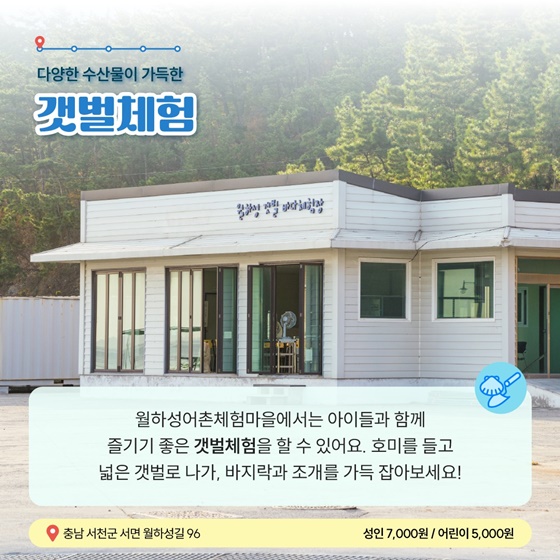 2월에 가기 좋은 어촌 안심 여행지① 충남 서천군 월하성마을