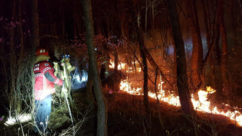 최근 대구 수성구 가창 일대에서 발생한 산불 현장에서 소방대원들이 진화작업을 벌이고 있다. (사진=대구소방안전본부)