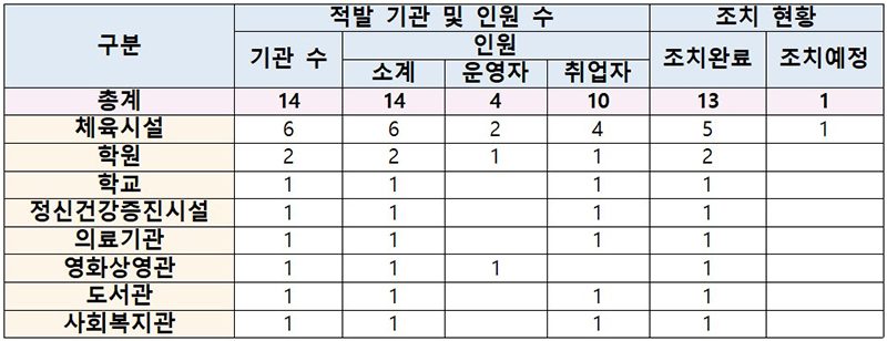 적발내역 (단위 : 개소, 명, 건) (자세한 내용은 본문에 설명 있음)