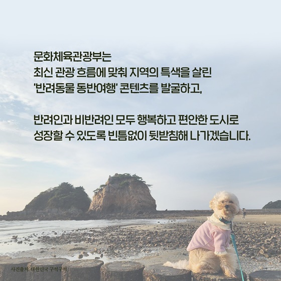 ‘댕댕이’, ‘냥이’와 여행 떠나볼까?