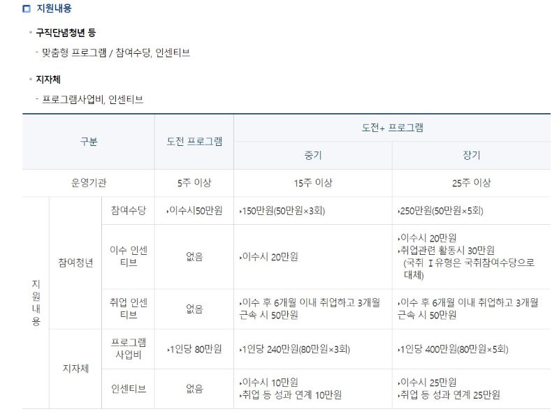 청년도전지원사업의 유형 종류와 그에 따른 혜택을 한눈에 확인할 수 있었다.