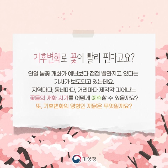 봄꽃 개화시기는 어떻게 예측하는 걸까요?