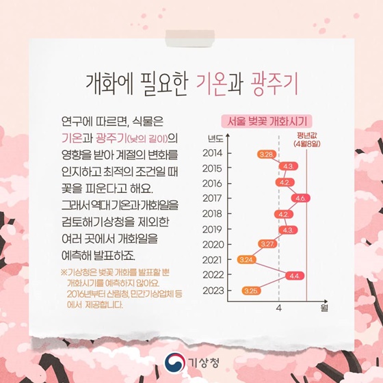 봄꽃 개화시기는 어떻게 예측하는 걸까요?