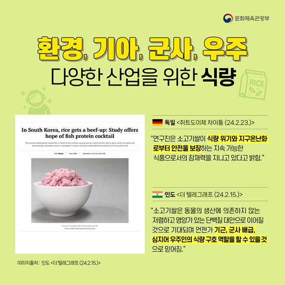 한국 연구진이 개발한 소고기쌀,  친환경적이고 경제적인 대체식품