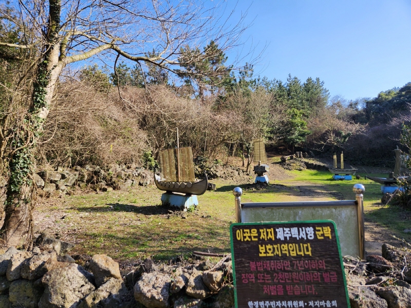 저지곶자왈에 도착하니 '저지 백서향 군락지'라는 안내문이 있었다.