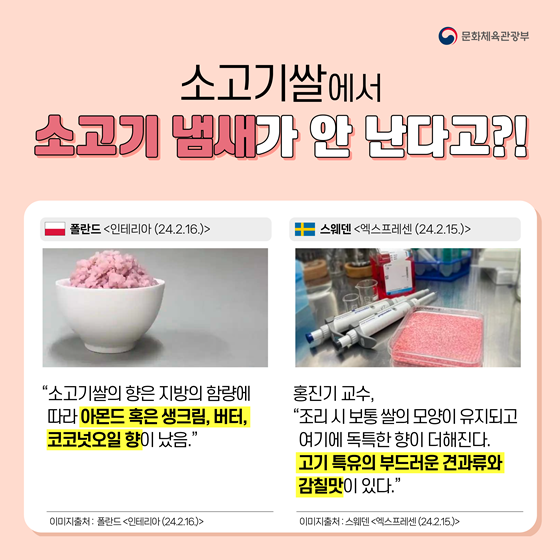 한국 연구진이 개발한 소고기쌀,  친환경적이고 경제적인 대체식품