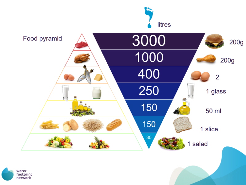 음식의 물 발자국[출처 : 물 발자국 네트워크(Water Footprint Network)]