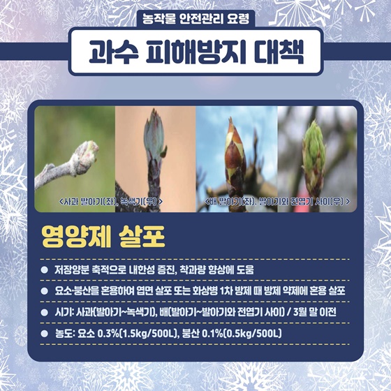 봄철 저온피해 예방 농작물 안전관리 요령