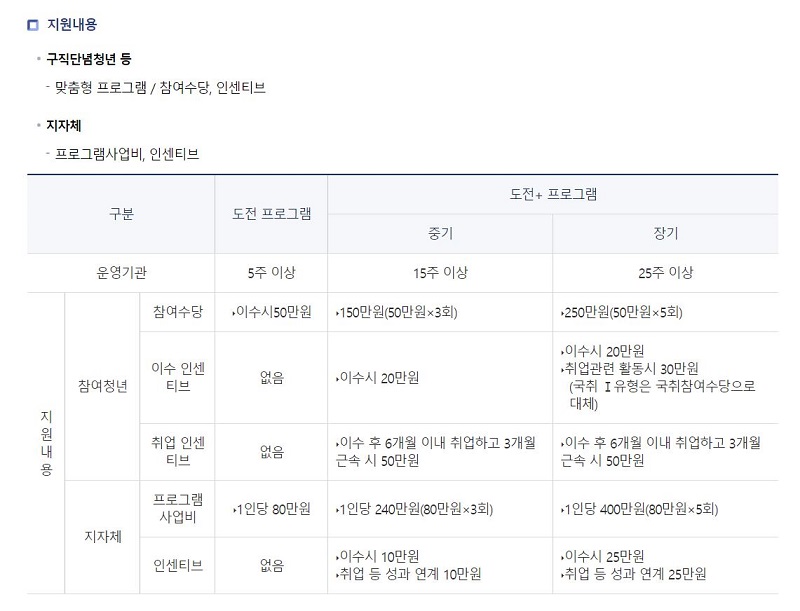 청년도전 지원사업 지원내용