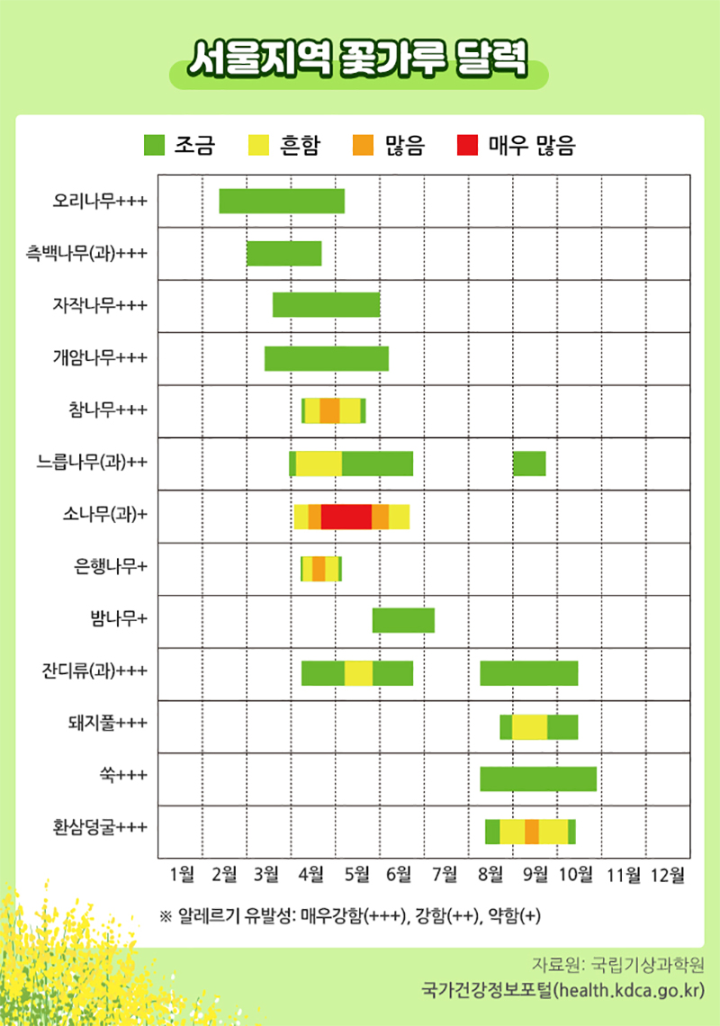 서울지역 꽃가루 달력