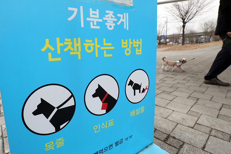 서울 영등포구 한강시민공원에서 반려견이 산책을 하고 있다. (ⓒ뉴스1, 무단 전재-재배포 금지)