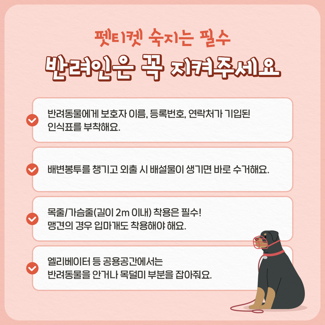 반려동물과 여행할 때 꼭 확인하세요!